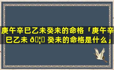 庚午辛巳乙未癸未的命格「庚午辛巳乙未 🦈 癸未的命格是什么」